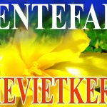 Lente Fair