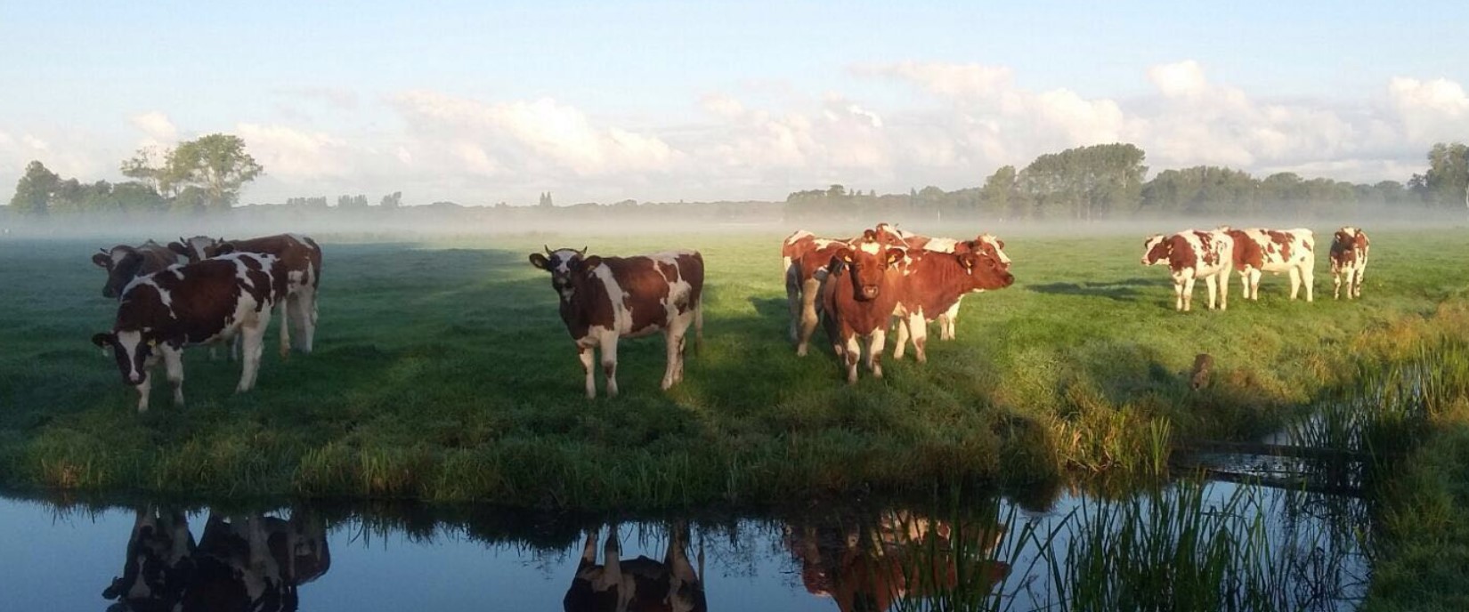 Dienst op de Boerderij met Kindernevendienst